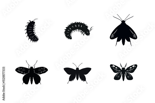 Silhouette collection of insects butterflies moths and caterpillars