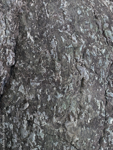 grey stone wall texture abstract background, backdrop wallpaper	