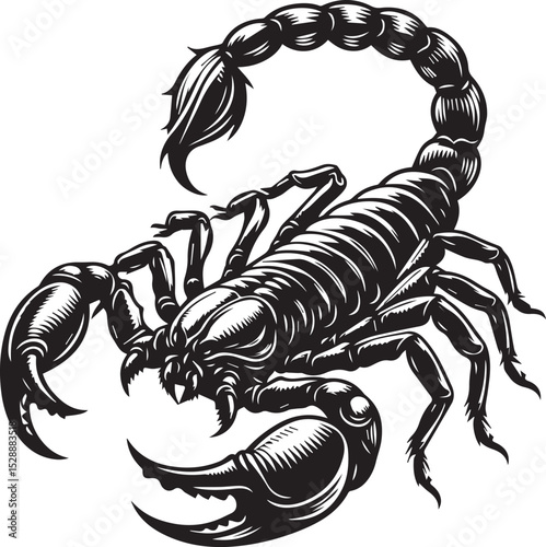Black and White Scorpion Vector Illustration – Aggressive Insect Tattoo Design