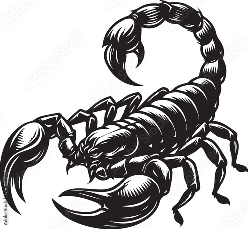 Black and White Scorpion Vector Illustration – Aggressive Insect Tattoo Design