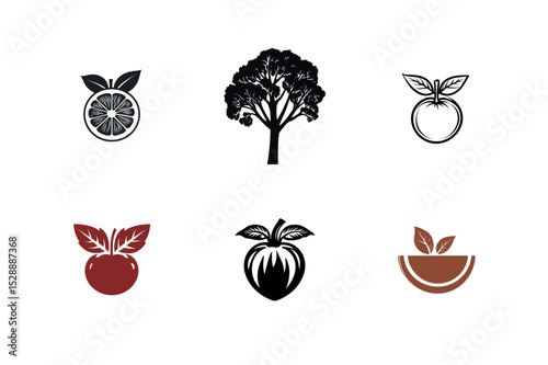 Six unique orange fruit and tree icons