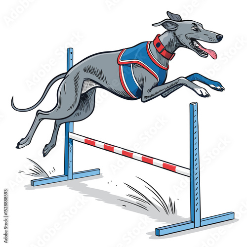 A graceful grey whippet joyfully leaps a hurdle in a dynamic, action-filled jump; showing athleticism and exhilaration.