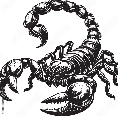 Black and White Scorpion Vector Illustration – Aggressive Insect Tattoo Design