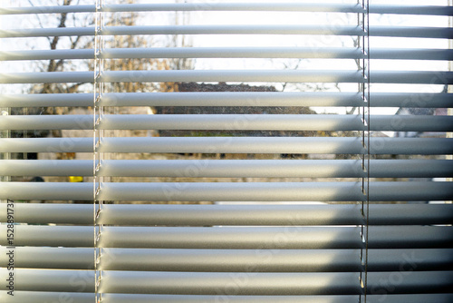 Protecting the apartment from prying eyes from the street: a window with slightly open blinds, on which the morning sunlight falls. Patterns in everyday things. Interior details of modern housing