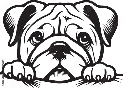 Print Cute Bulldog Peeking Vector Illustration