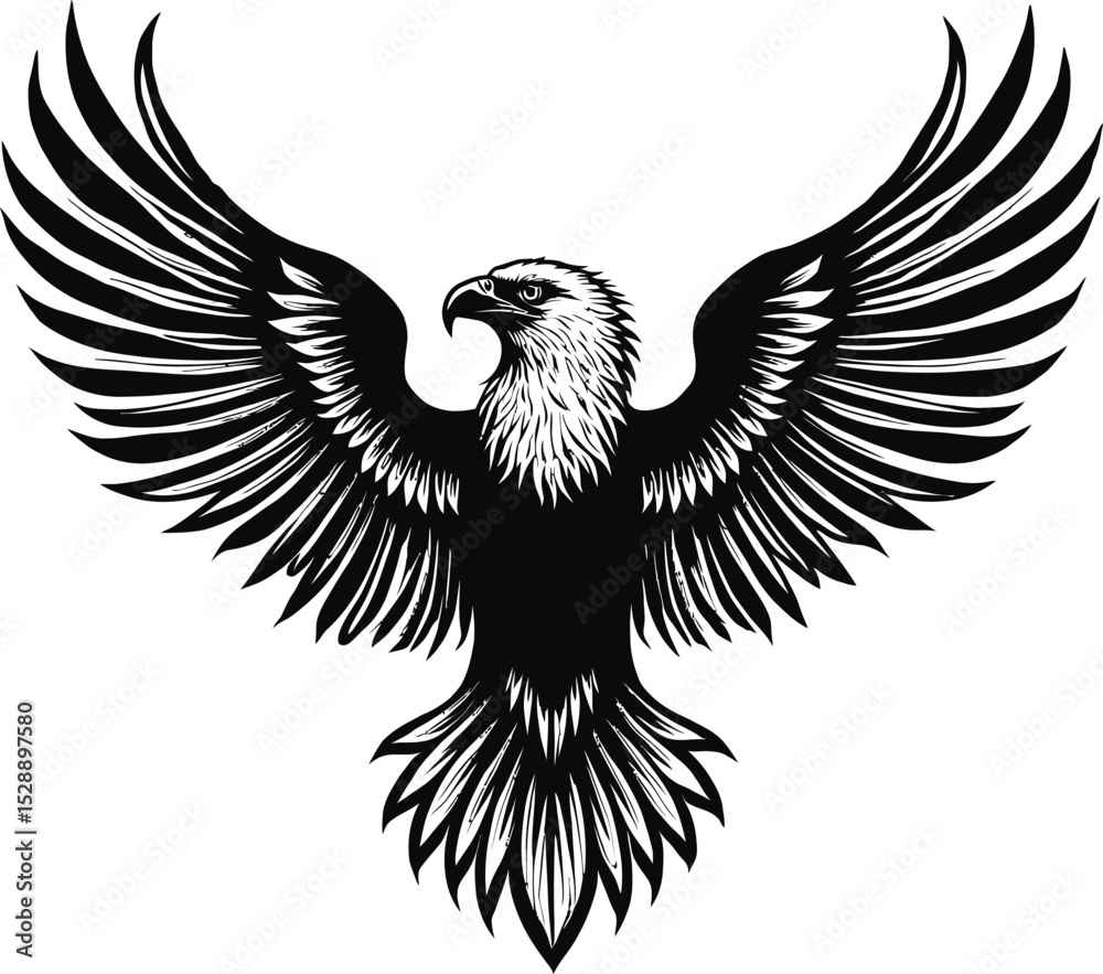 Obraz premium Majestic Bald Eagle with Wings Spread Wide, Detailed Black and White Vector Illustration