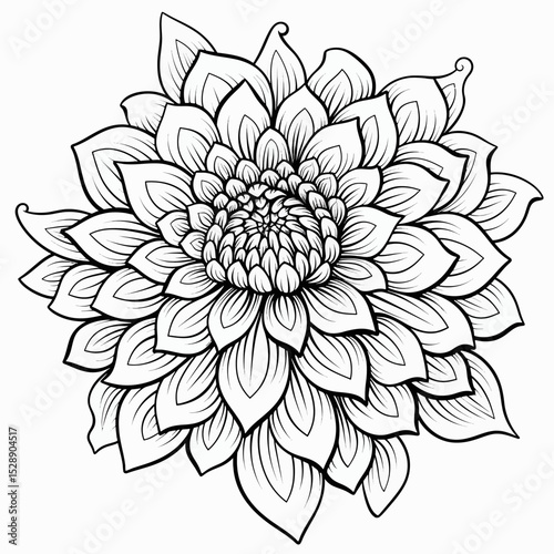 Line art flower on white 