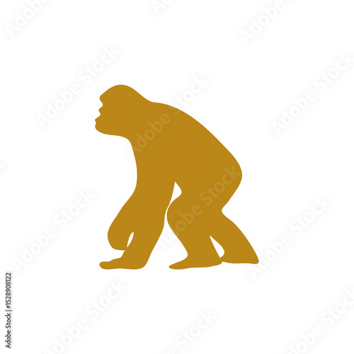 Hand drawn human evolution illustration 