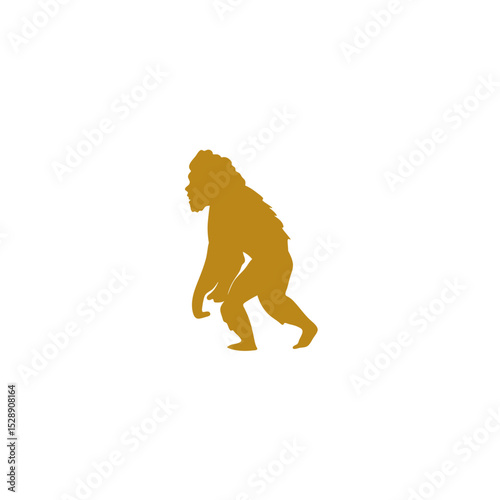 Hand drawn human evolution illustration 