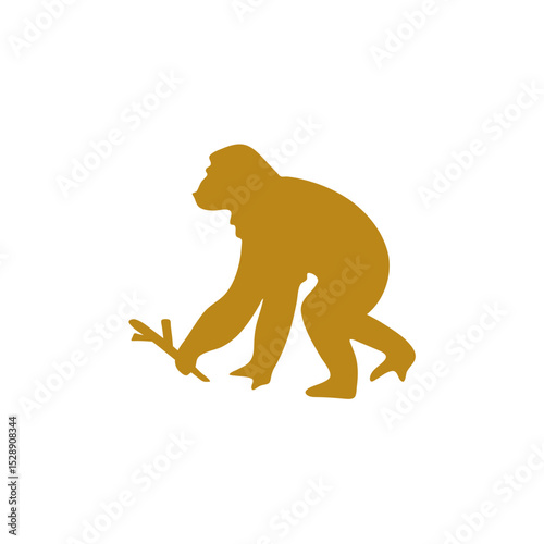 Hand drawn human evolution illustration 