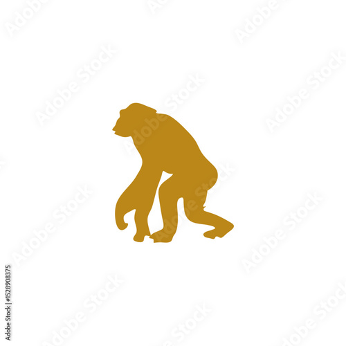 Hand drawn human evolution illustration 