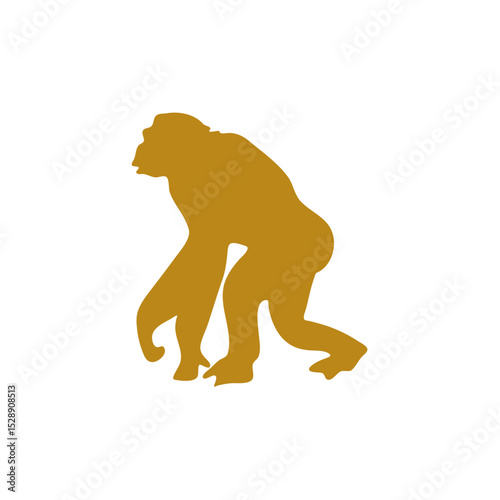Hand drawn human evolution illustration 