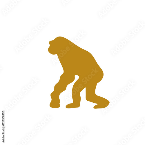 Hand drawn human evolution illustration 