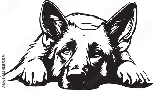 Print German Shepherd Dog Lying Down Vector Illustration