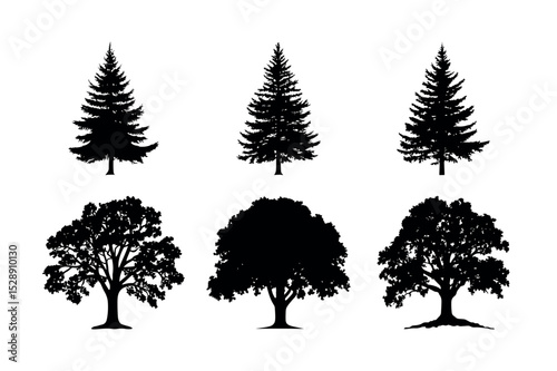Six black silhouettes of trees coniferous and deciduous