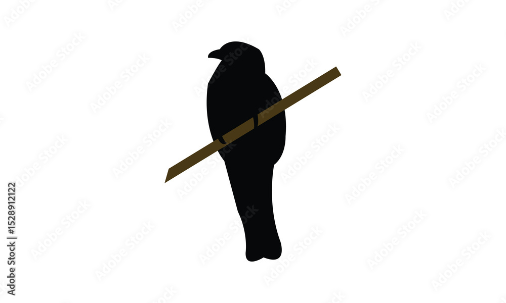 Obraz premium Amazonian black-throated trogon bird Silhouette Design And Vector Illustration. 