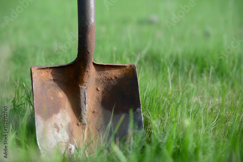 Rusty Spade Among Green Grass Garden Tool