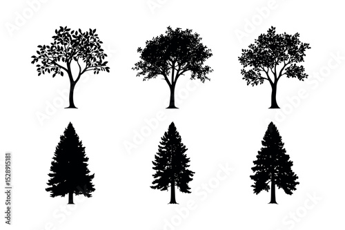 Six black silhouettes of deciduous and coniferous trees