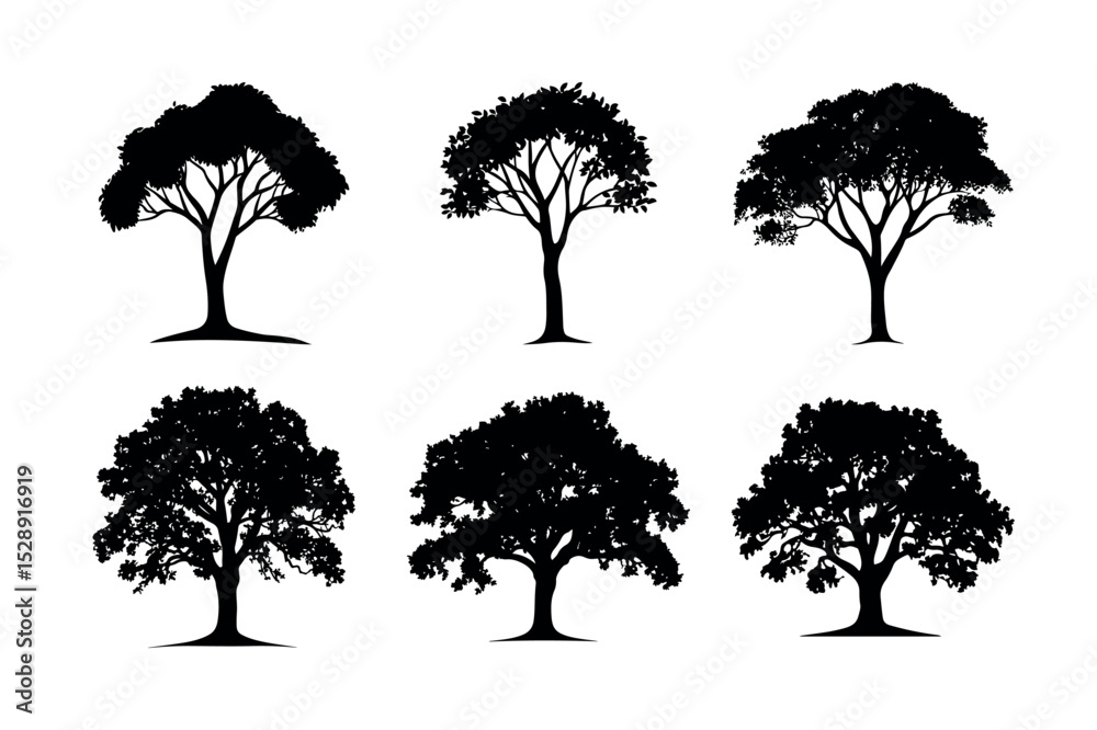 Fototapeta premium Six black silhouette trees isolated on white