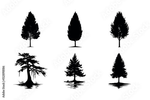 Six black silhouettes of different tree types
