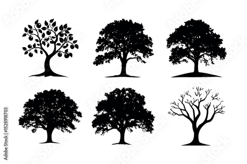 Collection of six black silhouette trees