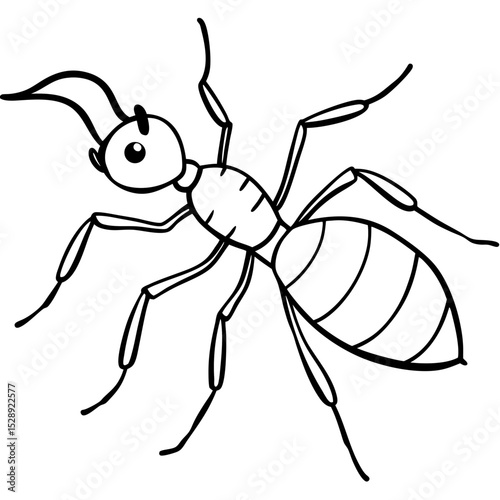 Ant Doodle art