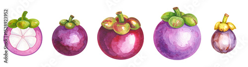 Colorful collection of mangosteen fruits in various stages of ripeness and cut.