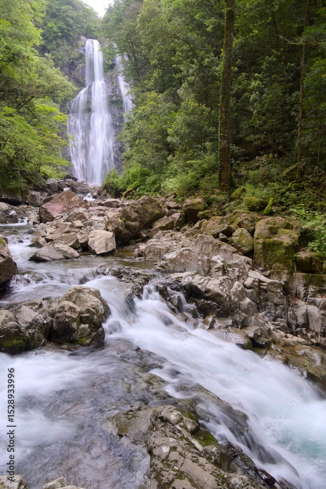 Fototapeta premium 宮崎県都農町、矢研の滝