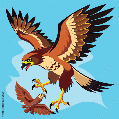 Powerful hawk attacks prey in flight.