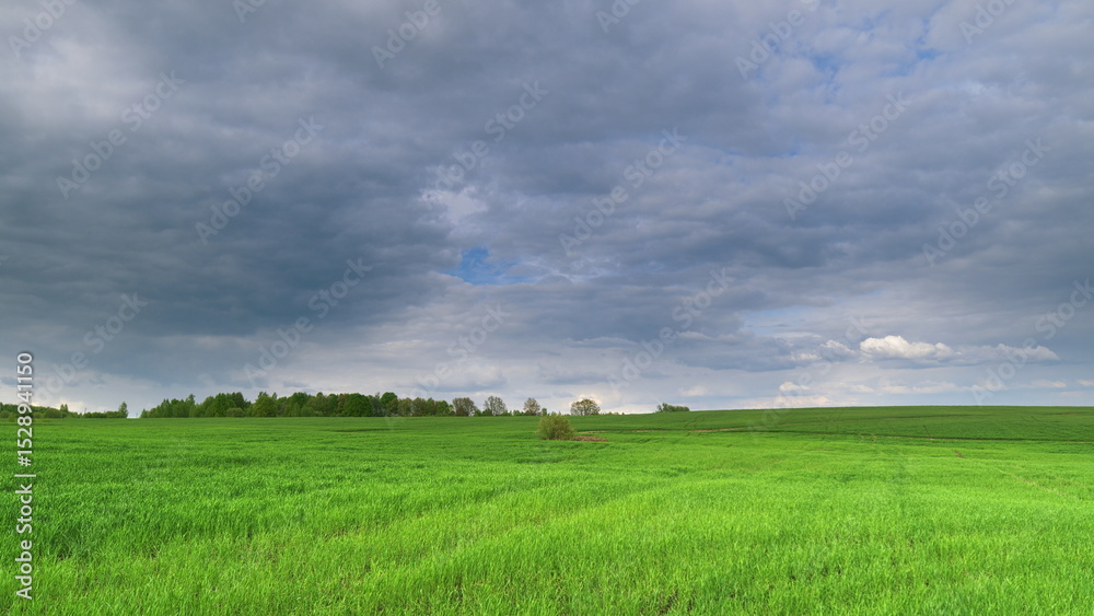 Fototapeta premium A Beautiful Lush Green Field Stretching Out Beneath a Dramatic Cloudy Sky Above It Time lapse.