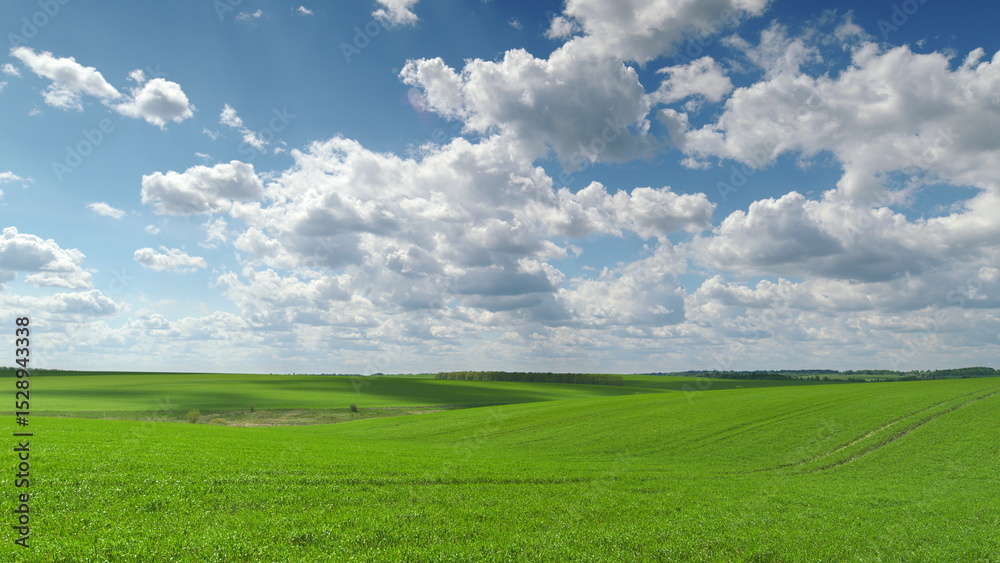 Obraz premium The Endless Vast Green Fields Spread Out Beautifully Beneath a Sky Filled With Clouds Above Us Time lapse.