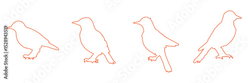 bird silhouettes, black and white, vector graphics, various poses, perched birds, flying birds, detailed bird shapes, minimalist design, ornithology illustration, nature clipart, bird watching guide,