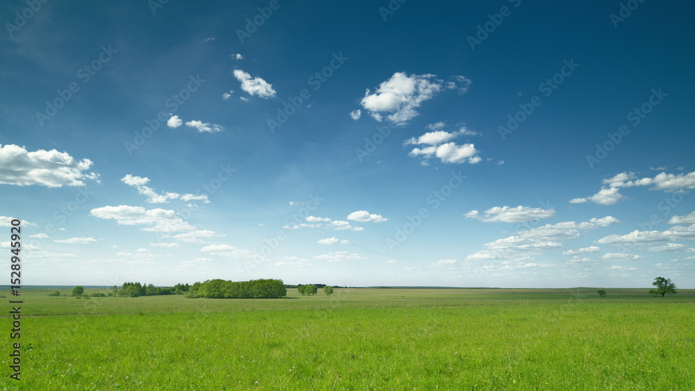 Fototapeta premium Expansive Vast Green Fields Spread Beneath a Bright and Clear Blue Sky, Embracing Natures Beauty