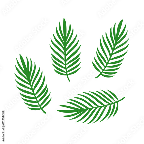 4 set of tropicals palm leaf isolated 