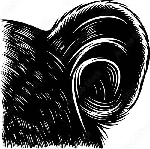 Sheep ear close up, animal ear detail illustration black and white textured etching drawing of fluffy wool and curved ear