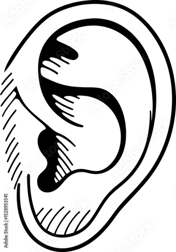 Human ear illustration, black and white line art detailed anatomical drawing for medical, education, hearing and communication themes
