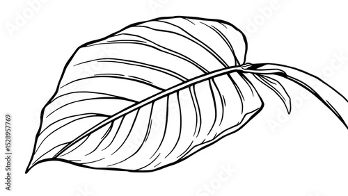 Large stylized tropical leaf (monstera or banana leaf) drawn in one continuous line.