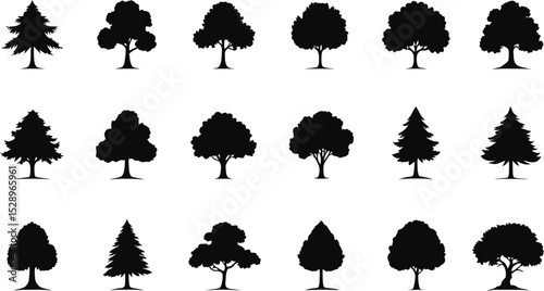 Silhouette Trees Collection: A Diverse Range of Evergreen and Deciduous Tree Shapes.