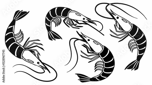 Stylized Black and White Illustrations of Various Shrimp Poses
