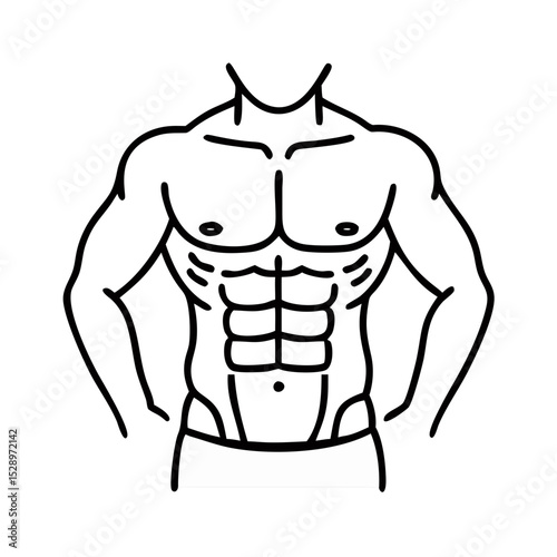 Six pack abs muscle definition  