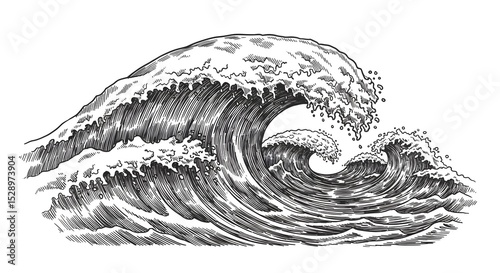 hand drawn vector illustration of a fish