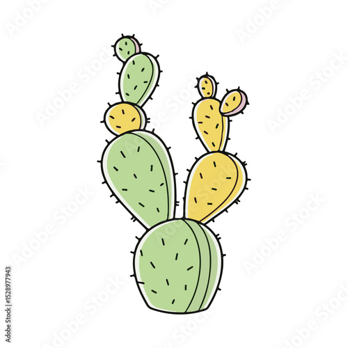 Vibrant Prickly Pear Cactus Illustration Desert Botanical Art
