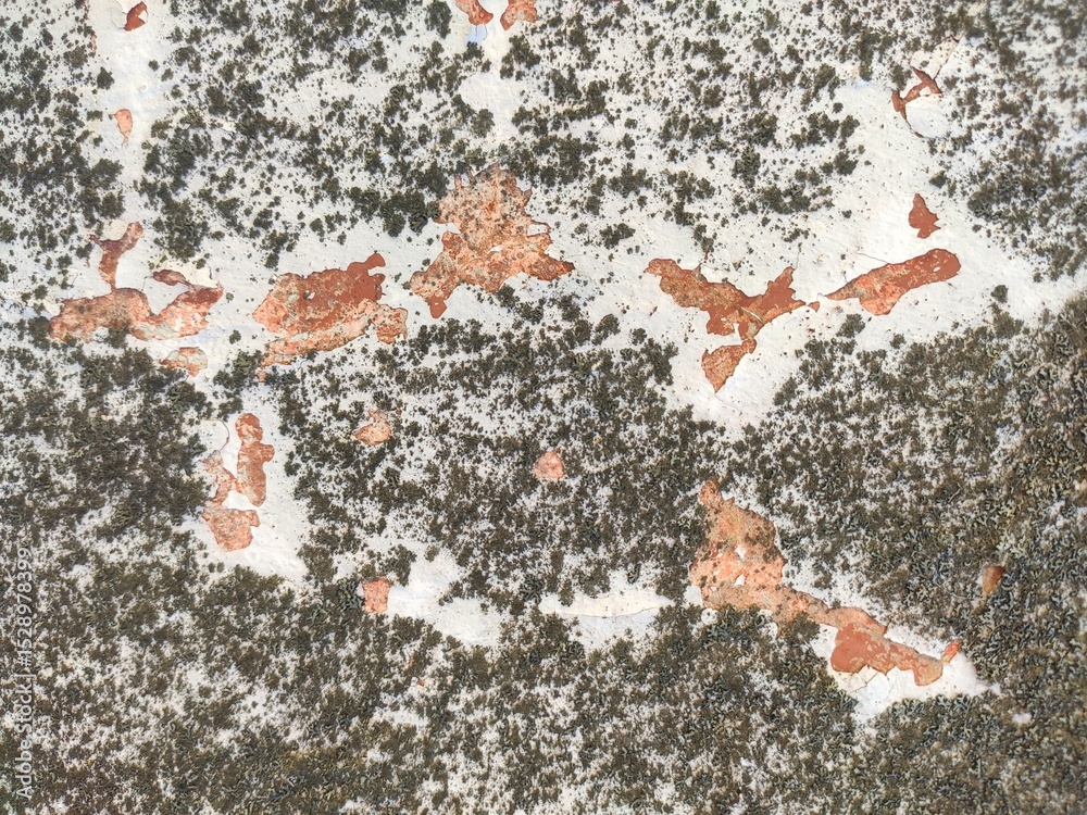 Fototapeta premium Weathered white and red wall with moss patches ideal for grunge effects, background textures, and decay-themed compositions
