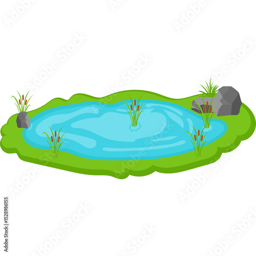 Water Pond with Reeds and Stones