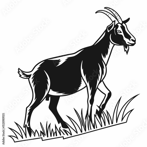 Majestic Goat Illustration Black and White Farm Animal Drawing