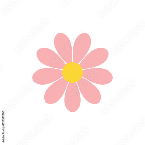 pink daisy flower vector illustration
