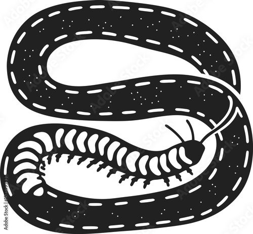 Illustrated centipede, detailed monochrome design segmented body, many legs, artistic insect depiction
