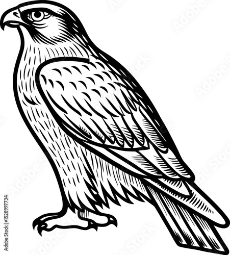 intricate eagle illustration in black and white, detailed bird profile, feathers and strength symbol