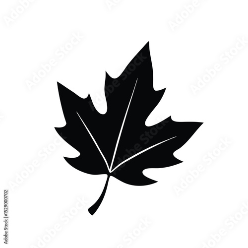 maple vector silhouette