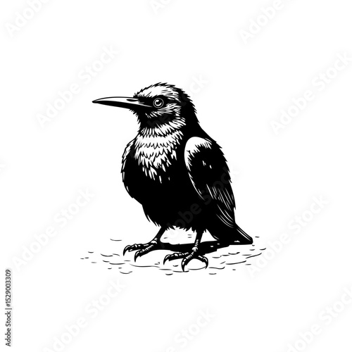 Striking monochrome illustration of a raven symbolizing mystery and elegance gracefully posing